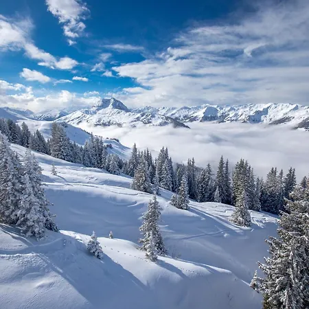 Feriehus Stadtvilla Belle Kitz Im Zentrum Mit Sauna By Belle *