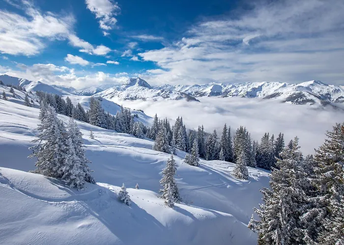 Σπίτι διακοπών Stadtvilla Belle Kitz Im Zentrum Mit Sauna By Belle *