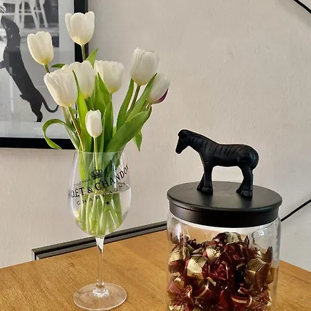 Stadtvilla Belle Kitz Im Zentrum Mit Sauna By Belle * Kitzbühel