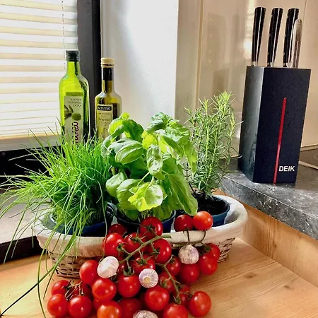 Vakantiehuis Stadtvilla Belle Kitz Im Zentrum Mit Sauna By Belle